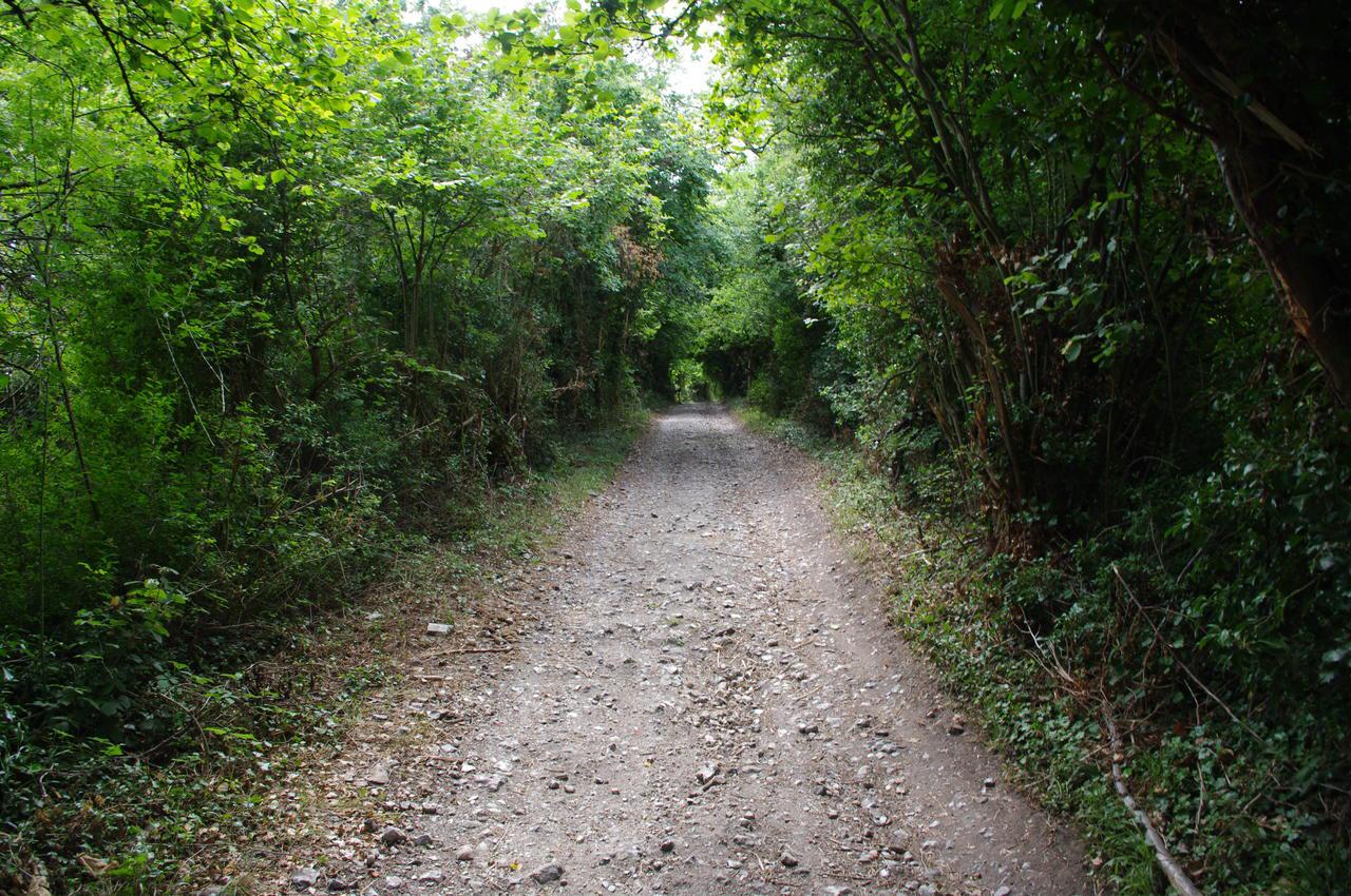 Wouldham Common